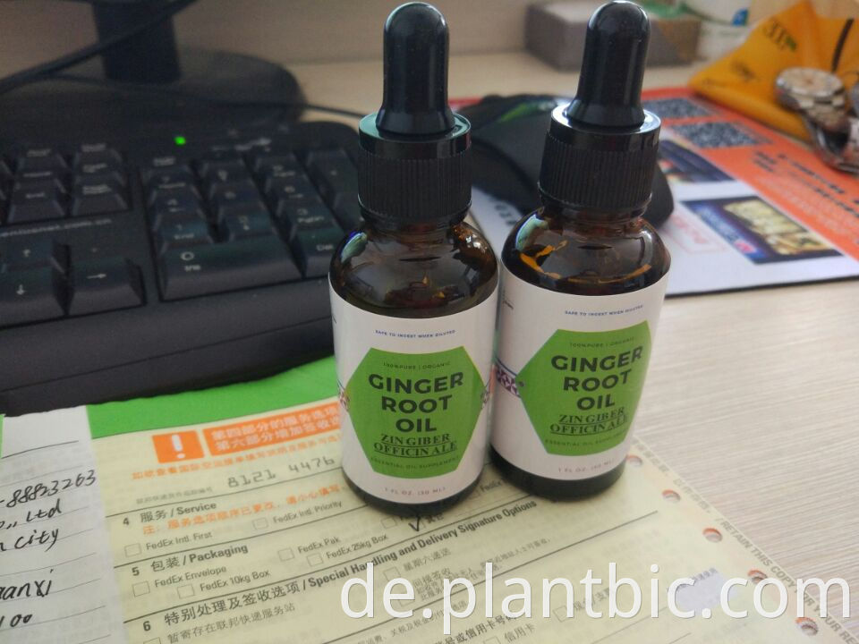 100% natural burdock extract oil (High quality and fast delivery)